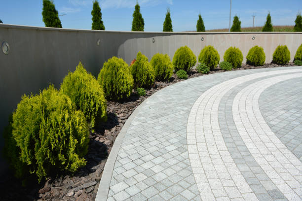 Decorative Driveway Paving